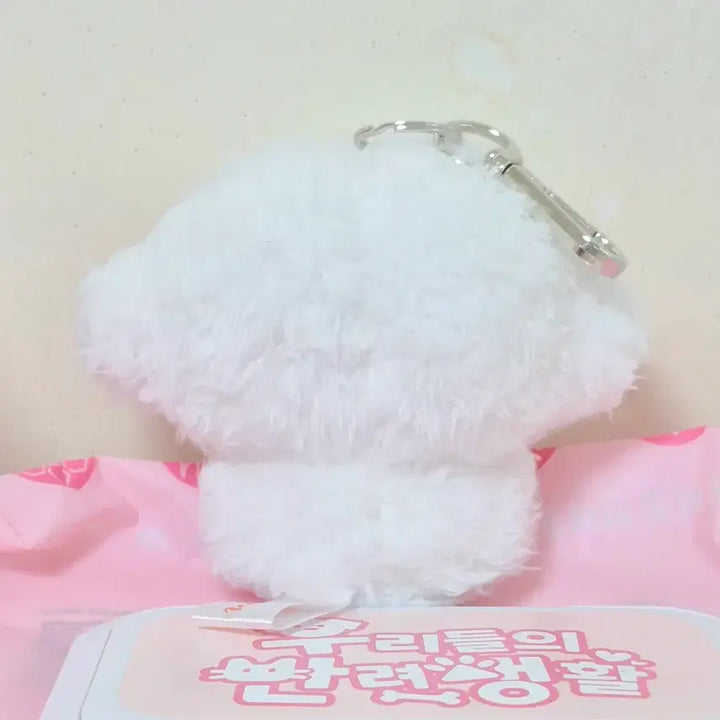 [BUNJANG] Sanrio Corgi Myung Mascot Plush Keychain / 산리오 코기뮹 마스코트 인형 키링