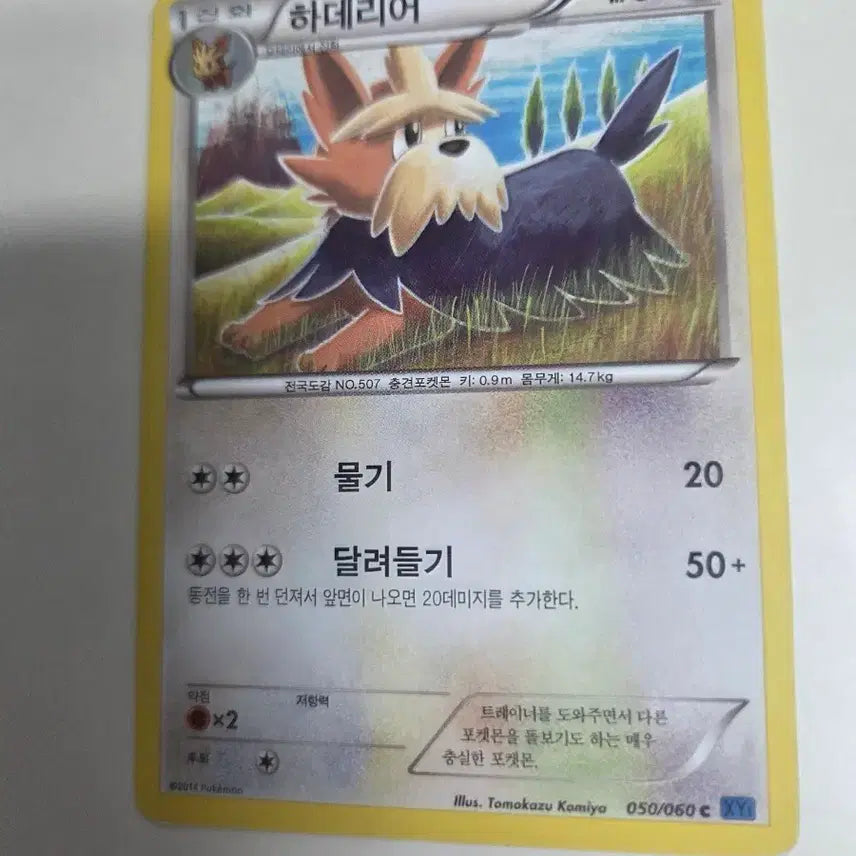 [BUNJANG] Haderia 050/060 XY Pokémon Card / 하데리어 050/060 XY 포켓몬 카드