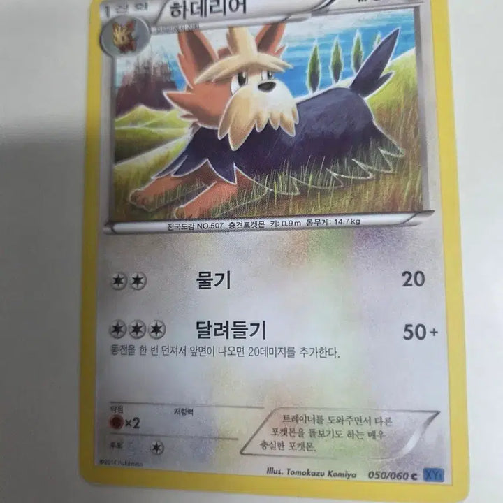 [BUNJANG] Haderia 050/060 XY Pokémon Card / 하데리어 050/060 XY 포켓몬 카드