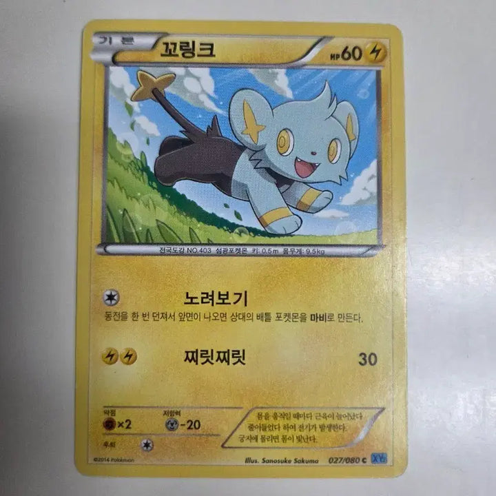 [BUNJANG] Pokemon Card XY Series Shinx / 포켓몬카드 XY시리즈 꼬링크