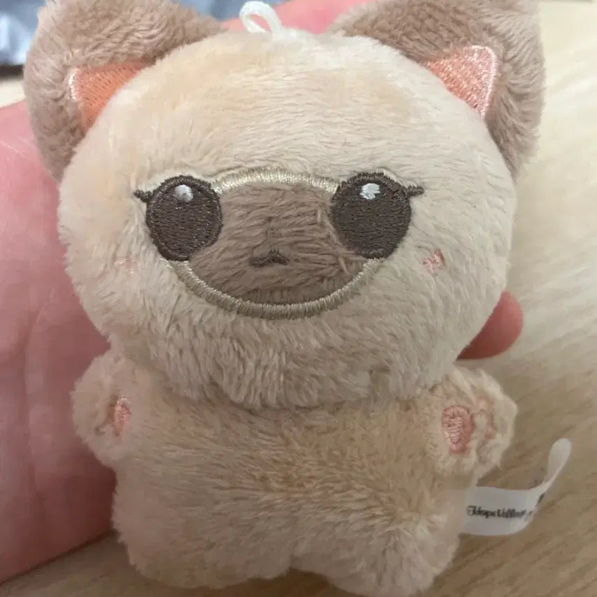 [BUNJANG] NewJeans Haerin Doll / 뉴솜즈 강해린 인형 판매해요