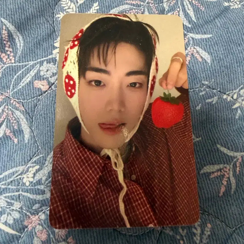 [BUNJANG] ModiSei KCON Rowan Strawberry Photocard / 모디세이 케이콘 딸기 포카 로완