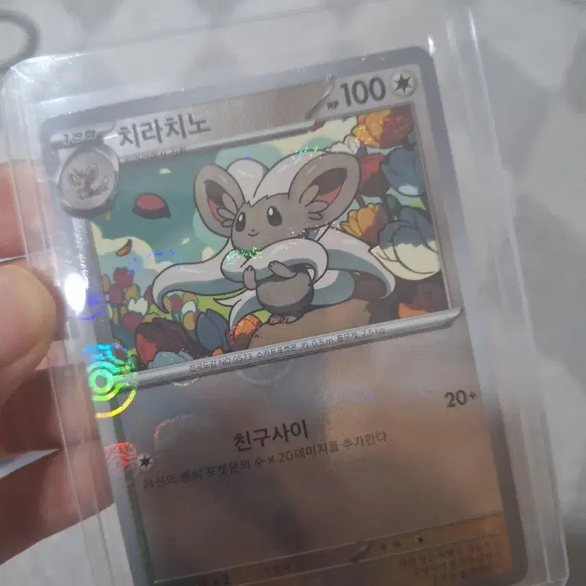 [BUNJANG] Pokemon Card Ch Chino Mabol Holo / 포켓몬 카드 치라치노 마볼 홀로