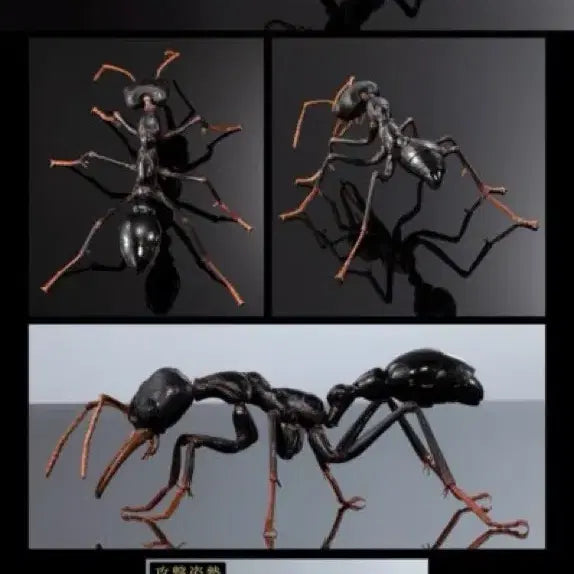 [BUNJANG] Bio Encyclopedia Advance Bulldog Ant / 생물대도감 어드밴스 불독개미