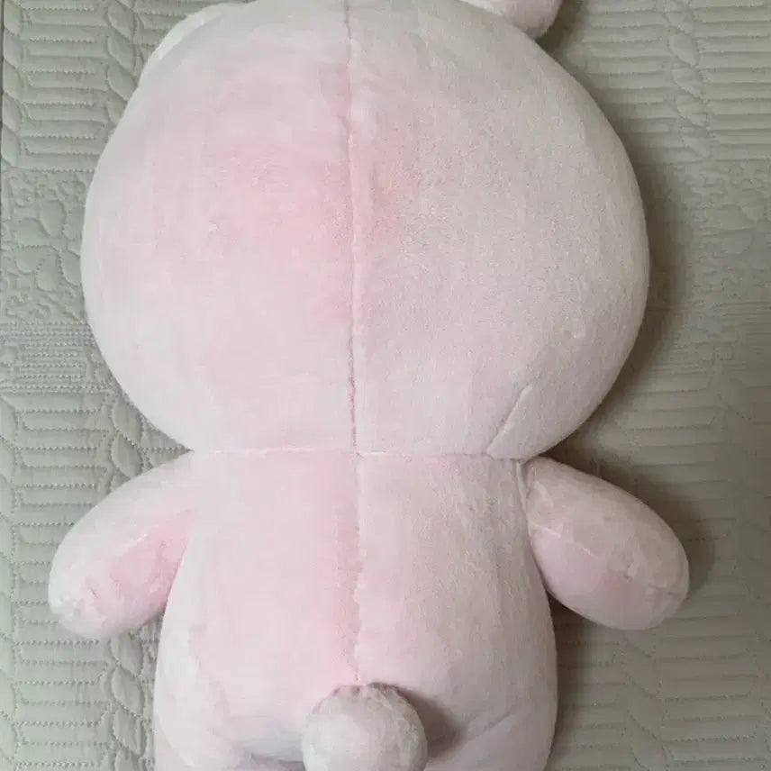 [BUNJANG] Giant Petit Mul Fil / 자이언트 쁘띠멀즈 필