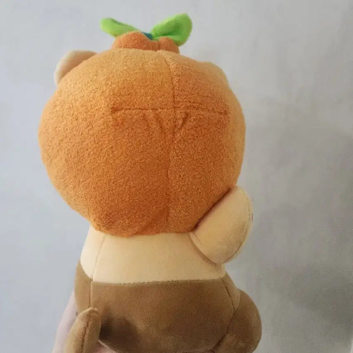 [BUNJANG] Chunsik Tangerine Hat Plush Doll / 춘식이 감귤 모자 인형
