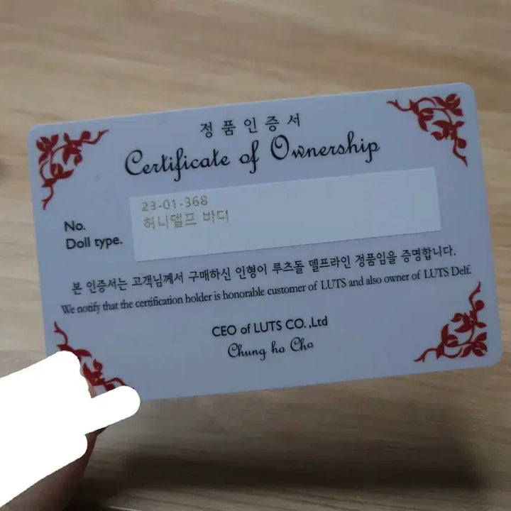 [BUNJANG] Roots Honey Delf Ball-Jointed Doll Certificate / 루츠 허니델프 바디 인증서 구체관절인형