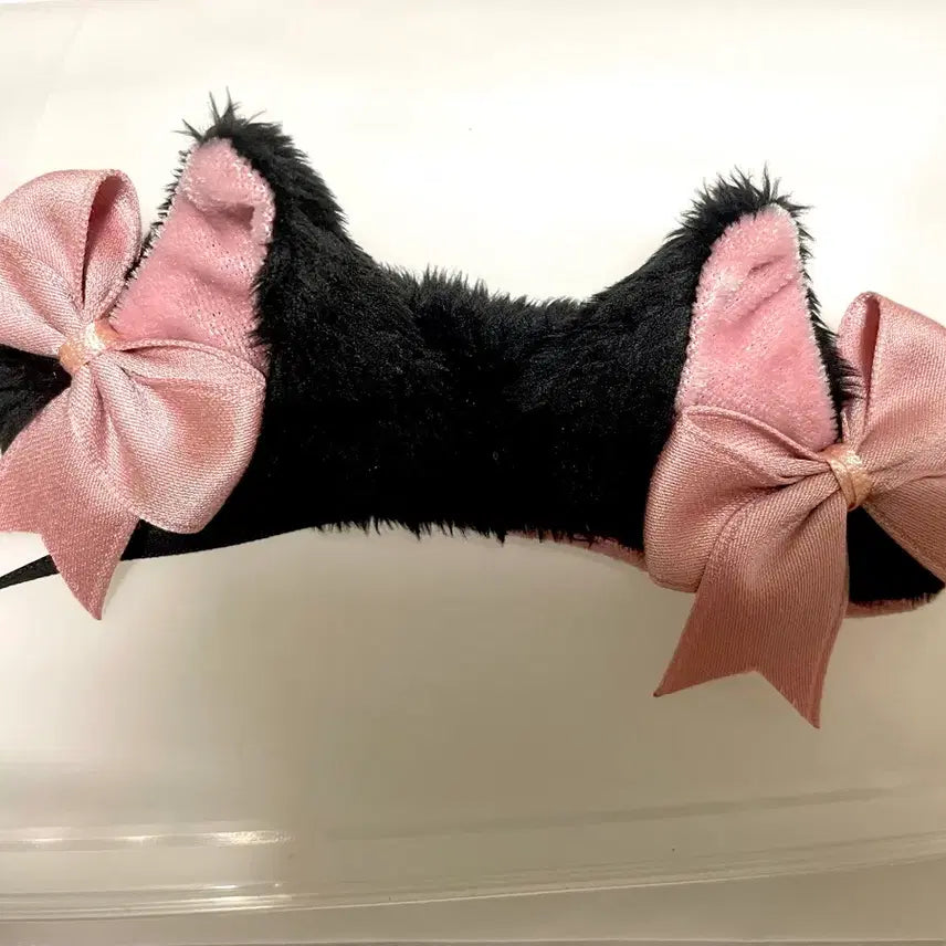 [BUNJANG] ODDBY MSD Cat Hair Accessory / 오드비 msd 고양이 헤어장식