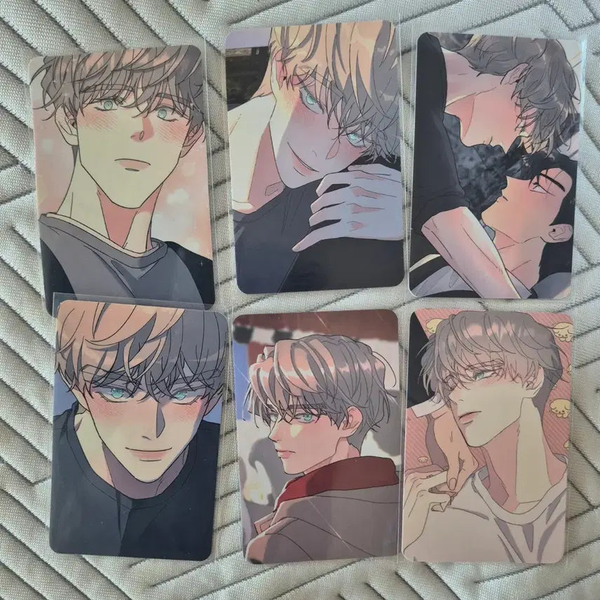 [BUNJANG] Rootless Tree Photocard / 뿌리없는나무 포카 양도