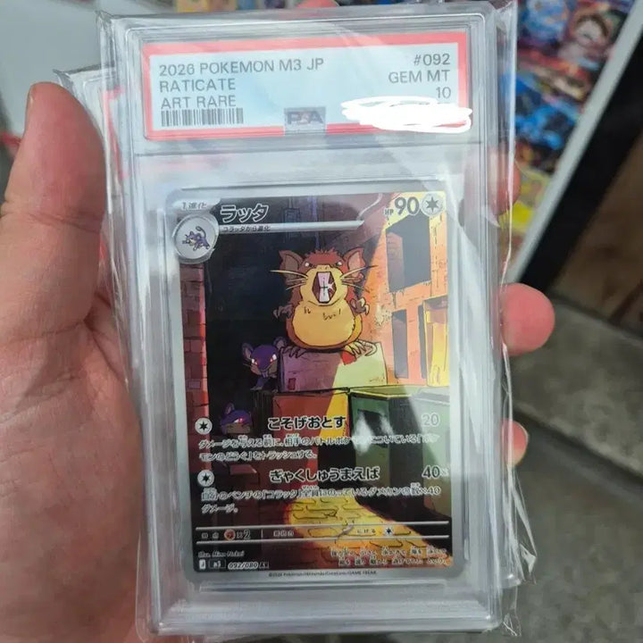[BUNJANG] Pokemon Card AR Graded Set (PSA 10) / PSA 10 ar 포켓몬 카드 일판 판매