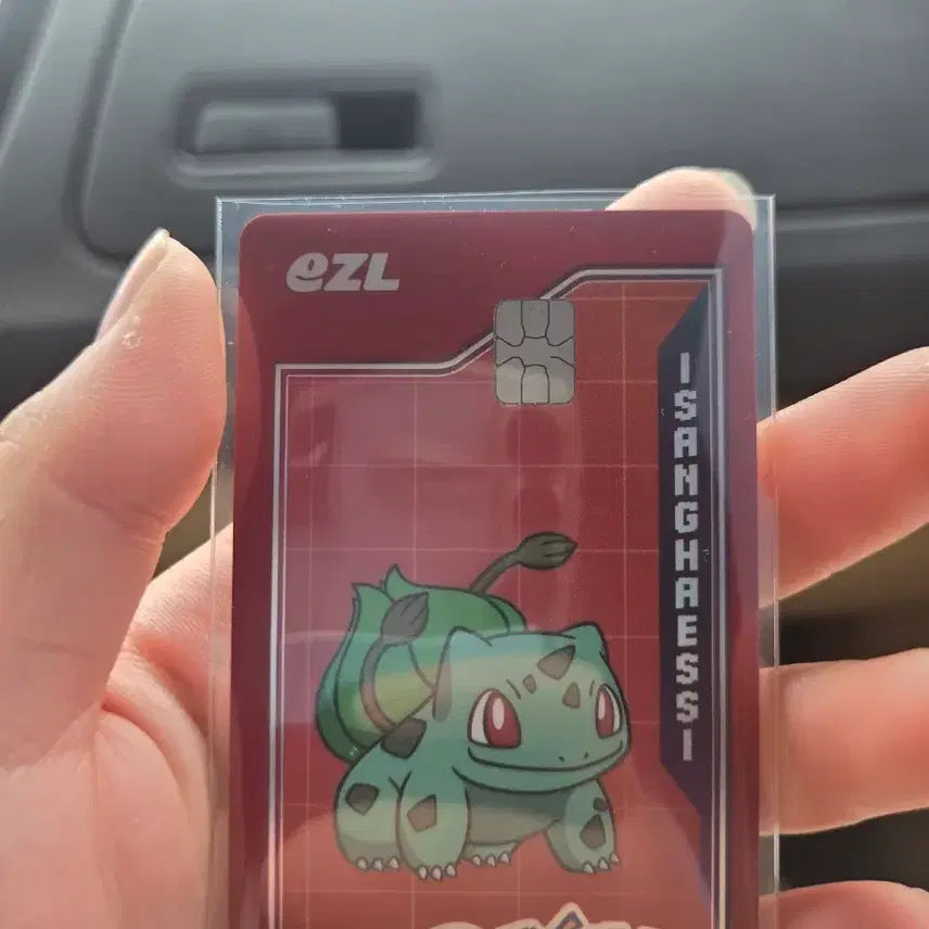 [BUNJANG] Pokemon Eevee Republic Card / 포켓몬스터 이브이즈 리퍼블릭 카드