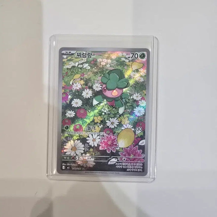 [BUNJANG] Pokemon Card Jjanggu AR (Korean Ver.) 