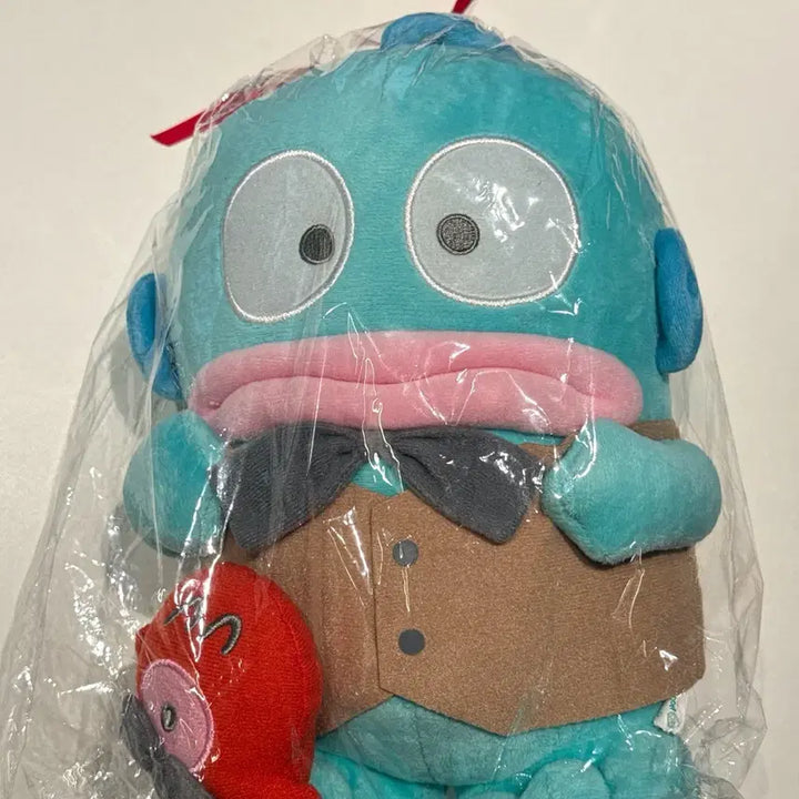 [BUNJANG] Hangyodon Medium Plush Doll 25-30cm / 22년 한교동 중형 인형