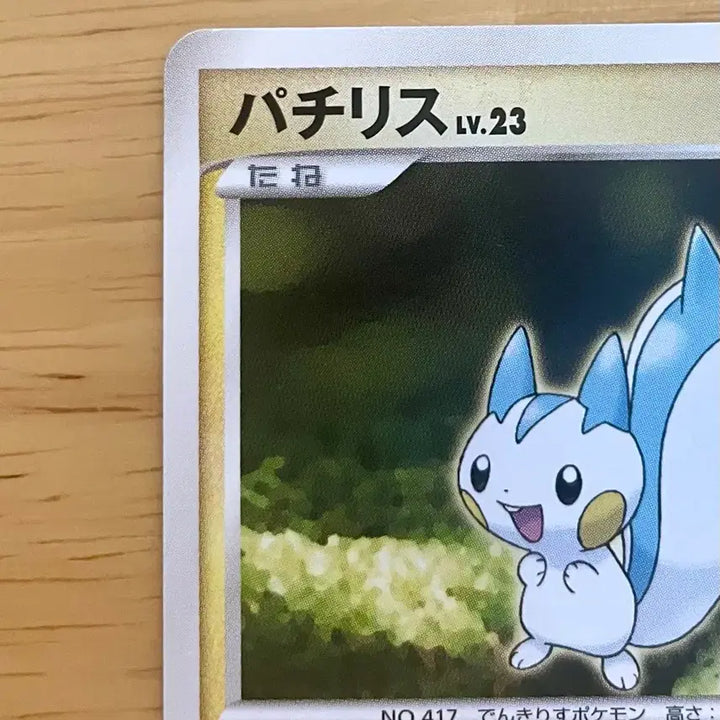 [BUNJANG] Pokemon Card Pachirisu DPBP