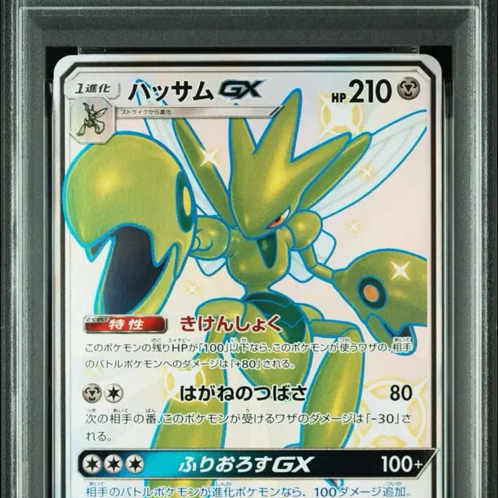 [BUNJANG] Moltres Pokemon Card Bundle Set / 포켓몬 카드 핫삼카드 psa10 일괄 판매