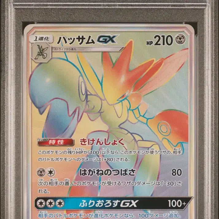 [BUNJANG] Moltres Pokemon Card Bundle Set / 포켓몬 카드 핫삼카드 psa10 일괄 판매
