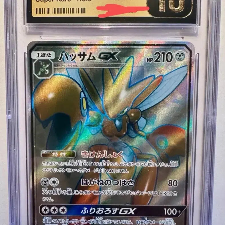 [BUNJANG] Moltres Pokemon Card Bundle Set / 포켓몬 카드 핫삼카드 psa10 일괄 판매