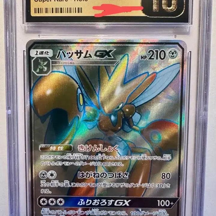 [BUNJANG] Moltres Pokemon Card Bundle Set / 포켓몬 카드 핫삼카드 psa10 일괄 판매
