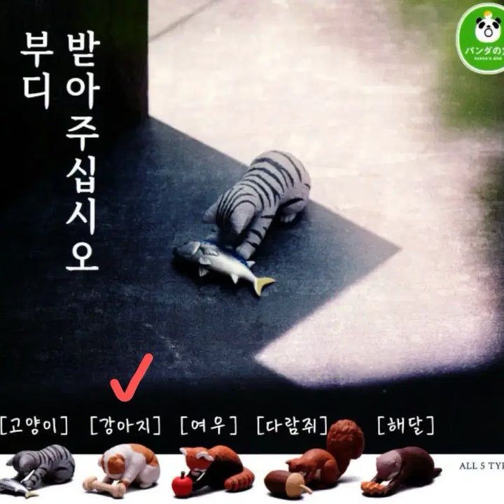 [BUNJANG] Animal Gacha Capsule Toy / 부디 받아주십시오 가챠 동물 가챠 캡슐 토이