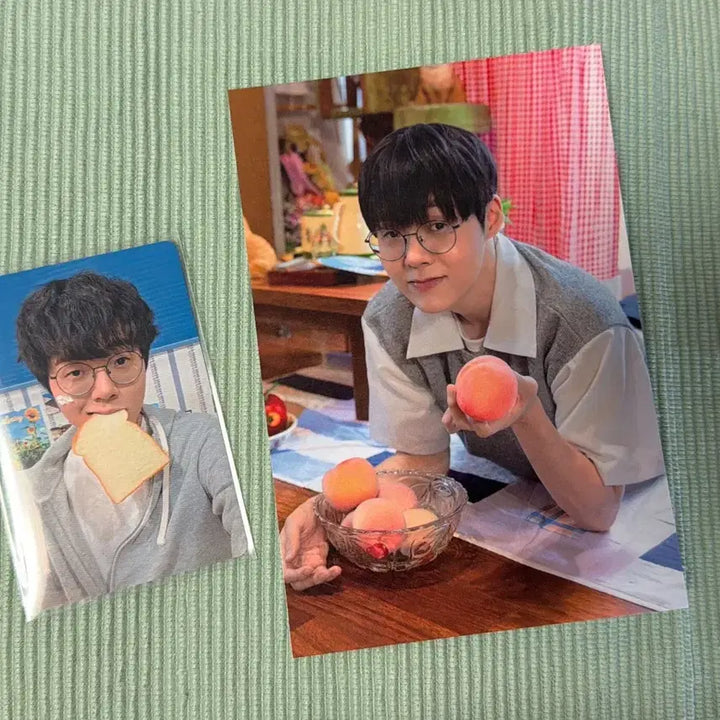 [BUNJANG] Brion Teddy Bread Photocard &amp; Peach Postcard / 브리온 테디 빵 포카 &amp; 복숭아 엽서 판매