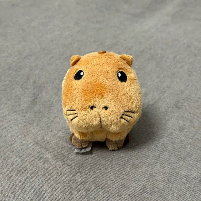[BUNJANG] Riku Capybara Plush - Story of Seasons / 리쿠 카피바라 인형 story of seasons capybar