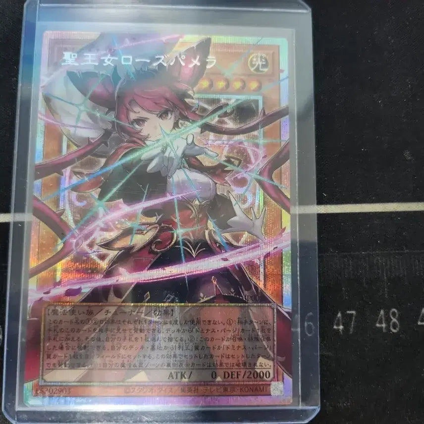 [BUNJANG] Dominastia Rose Pamela PSE Overframe Card / 도미나스티아 로즈파멜라 PSE오버프레임