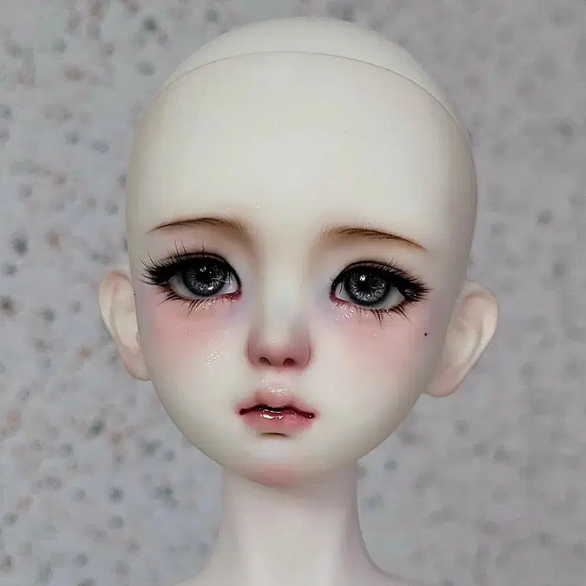 [BUNJANG] Full Box MSD Lena Head Ball-Jointed Doll / 풀박스 구관 msd 레나 헤드 구체관절인형