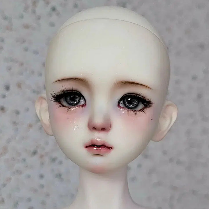 [BUNJANG] Full Box MSD Lena Head Ball-Jointed Doll / 풀박스 구관 msd 레나 헤드 구체관절인형