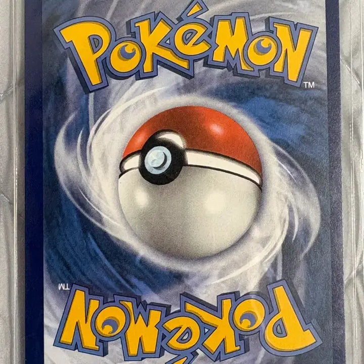[BUNJANG] Pokemon Card North America 25th Anniversary Charizard Single Card / 무료배송)포켓몬카드 북미 25주년 리자몽, 거북왕 세트