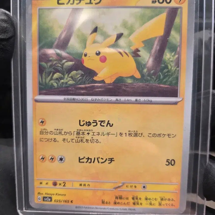 [BUNJANG] Pikachu Card (Japanese) / 피카츄 카드 [일판]