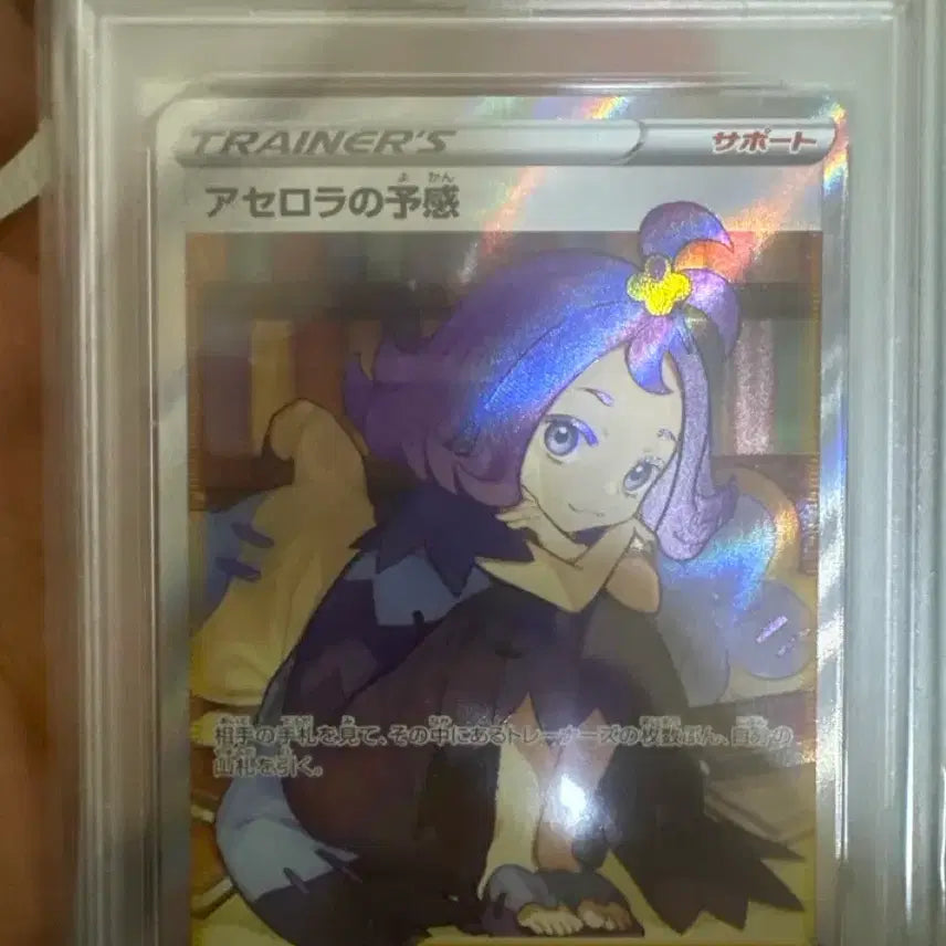 [BUNJANG] PSA 10 Pokemon Card 255/184 SR Acerola&