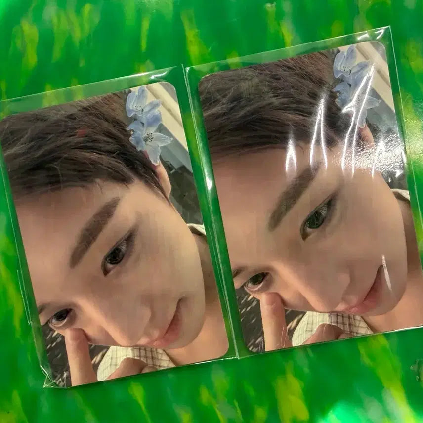 [BUNJANG] Park Jihoon "Forment" Flower Photocard / 박지훈 포맨트 꽃 포카