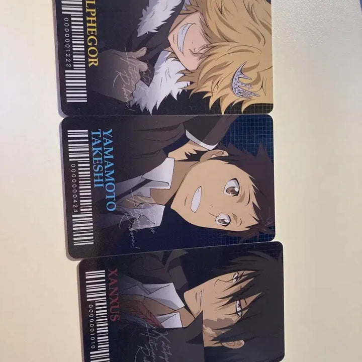 [BUNJANG] Reborn! Character Cards Set (Belphegor, Yamamoto Takeshi, Xanxus) / ㄱ가정교사 히트맨 리본 카드 3종 (벨페고르, 야마모토 타케시, 잔스) 가히리