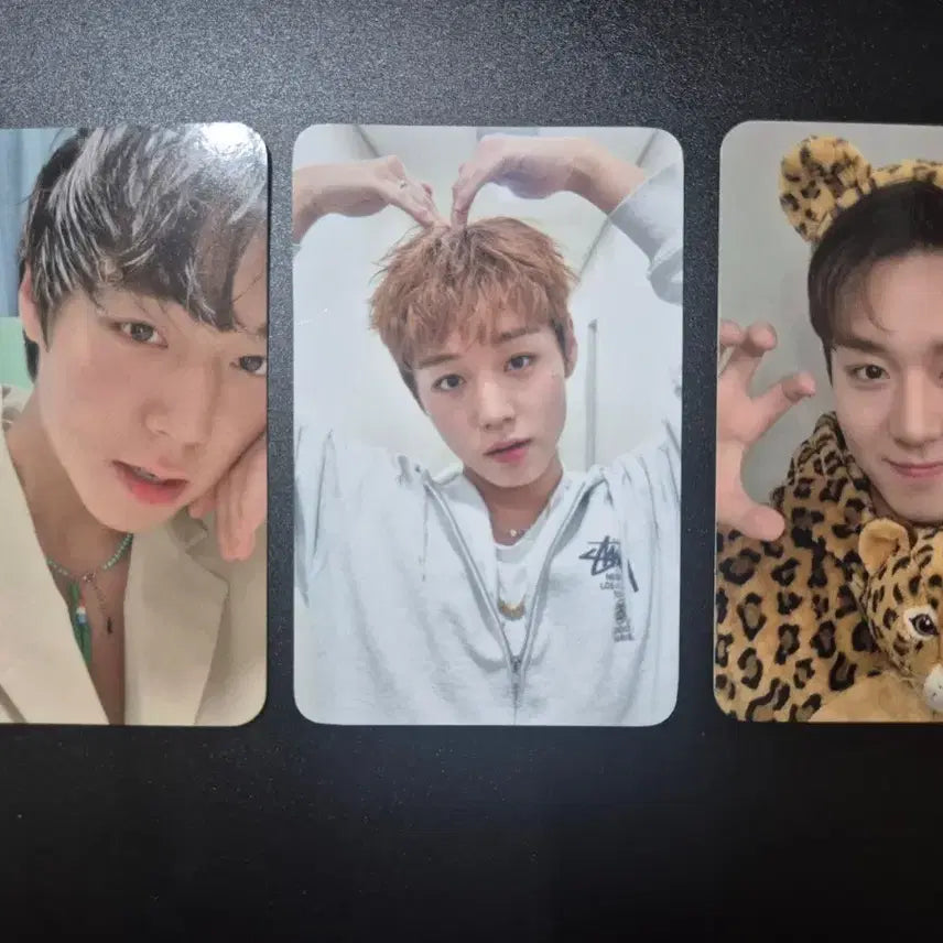 [BUNJANG] Park Ji Hoon Photocard Bundle Set / 박지훈 포토카드