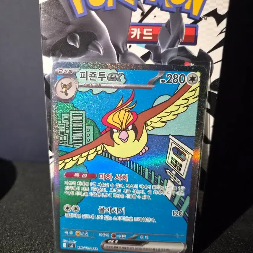 [BUNJANG] Pokemon Pigeon Bird ex SAR / 포켓몬카드 피죤투ex SAR [S급]