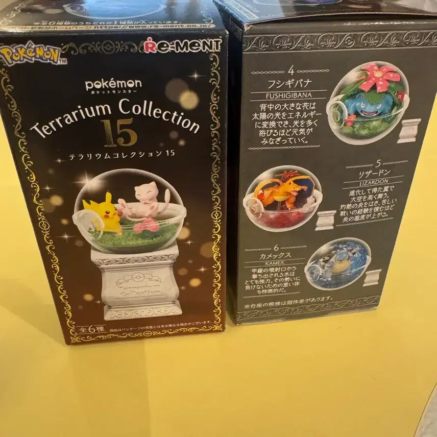 [BUNJANG] Pokemon Terrarium Collection 15 Charizard New Product / 포켓몬 테라리움 컬렉션 15 리자몽 새제품