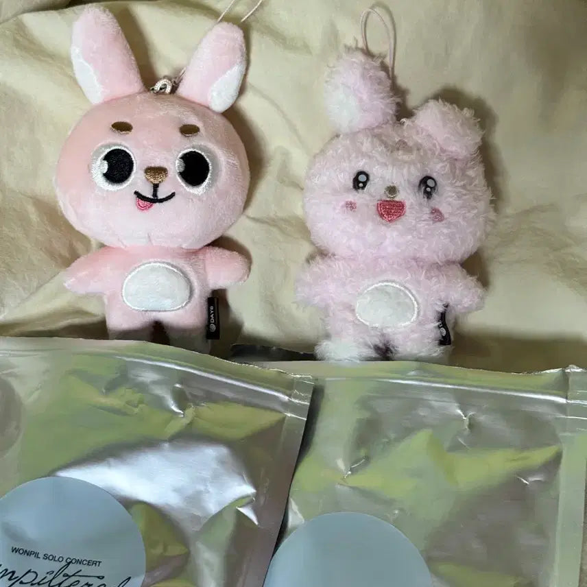 [BUNJANG] DAY6 Wonpil Unfiltered Secret Keyring Bundle Set / 일괄) 데이식스 원필 언필터드 시크릿 키링 메롱필, 초롱필