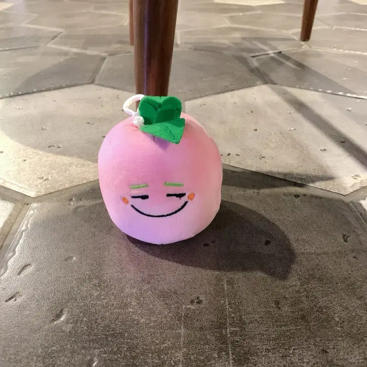 [BUNJANG] Pink Turnip Plush Charm Bag Charm / 핑크색 순무 인형 무우상 인형 키링 가방고리 무우 인형