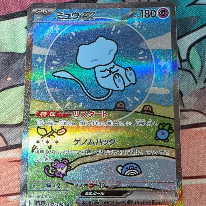 [BUNJANG] Pokemon Card Buby My (Japanese Version) / 버블뮤 일판