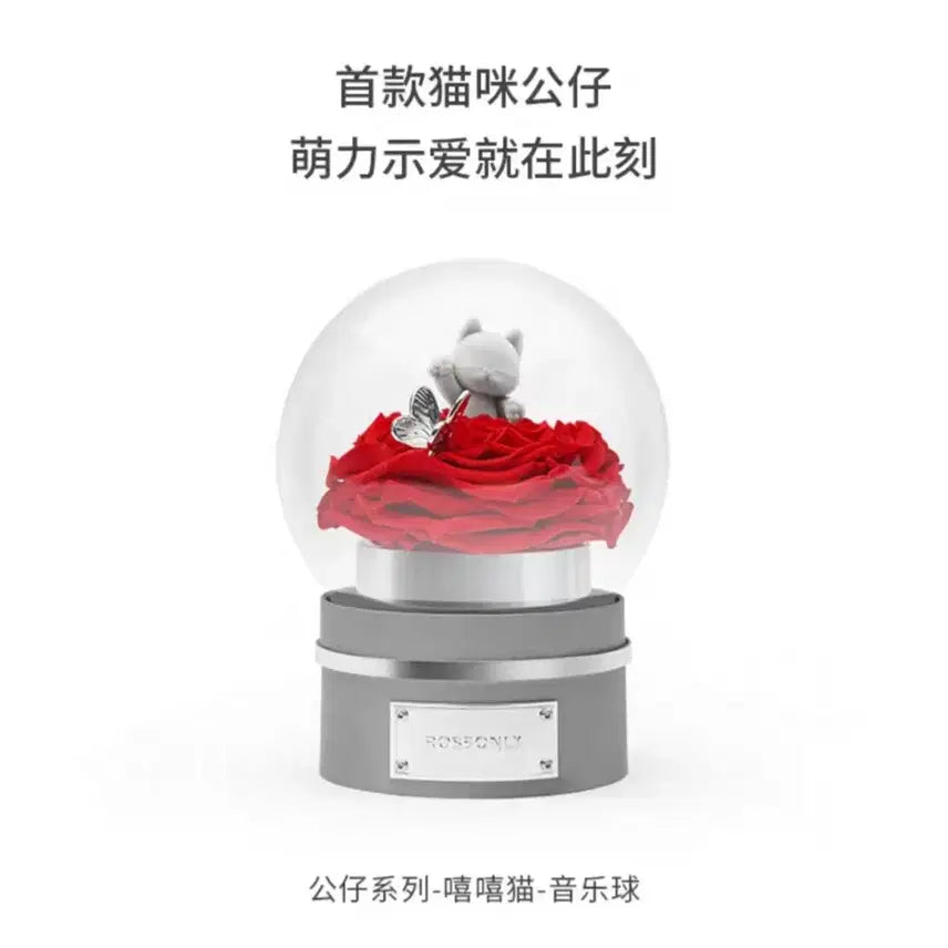 [BUNJANG] ROSEONLY Xiao Zhan Preserved Rose Music Box / 로즈온니 샤오잔 영생화 고양이 오르골 중국 보존화