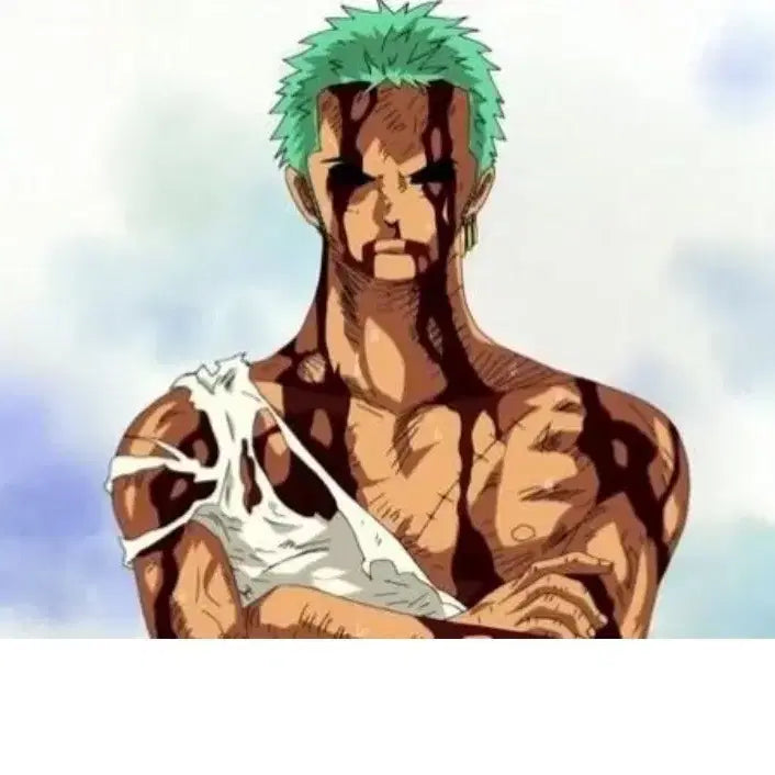 [BUNJANG] Zoro Resin Figurine (No Accidents) / 아무일도 없었다 조로 레진