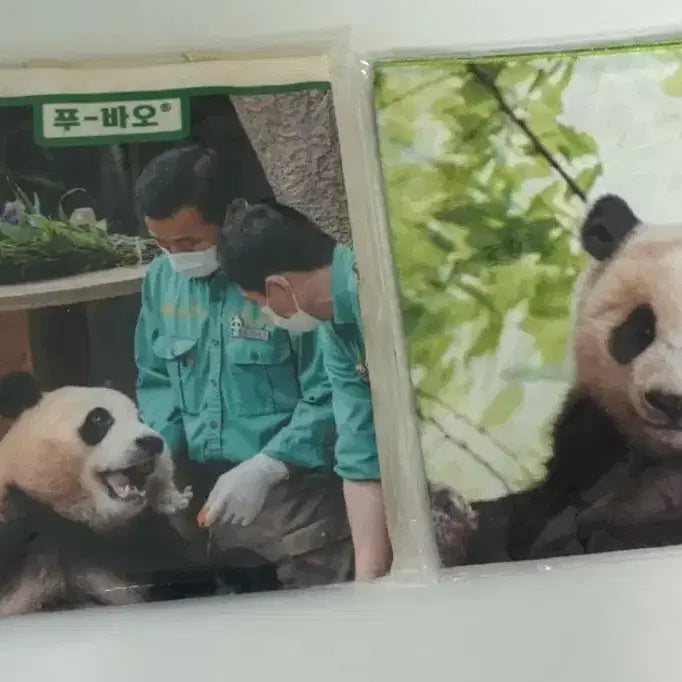 [BUNJANG] Fu Bao Poster Bundle Set / 푸바오 포스터 일괄판매