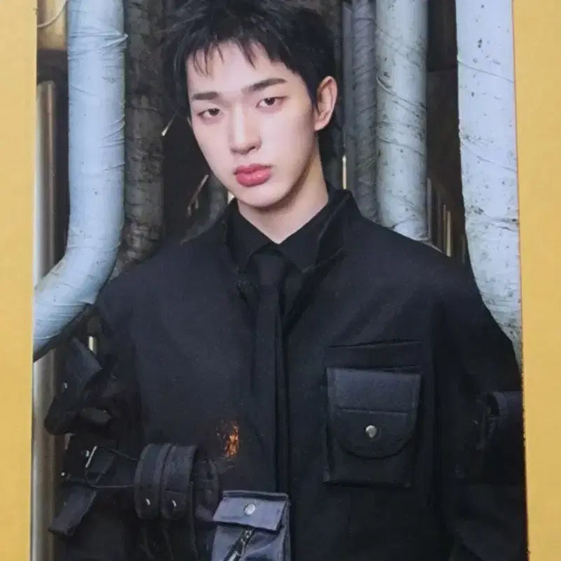 [BUNJANG] NEXZ Tomoya Photocard / 넥스지 토모야 포카