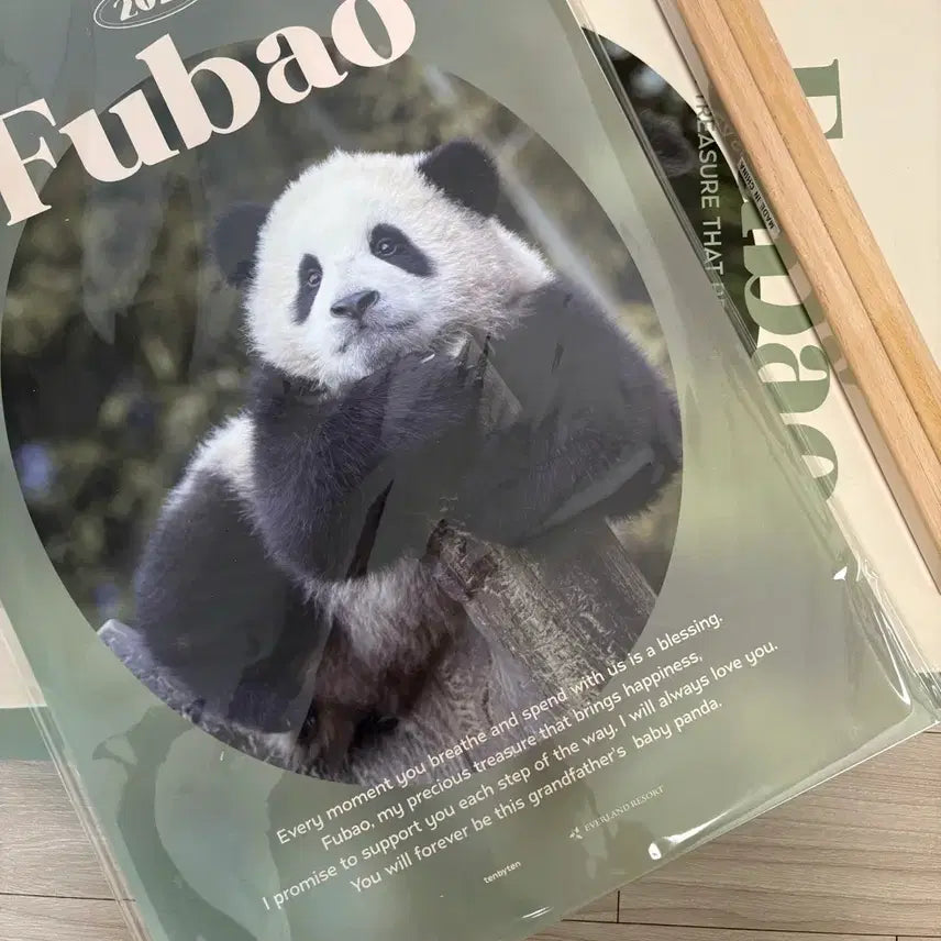[BUNJANG] Fu Bao Wall Calendar Scroll Bundle Set / 푸바오 벽걸이 캘린더 족자 일괄