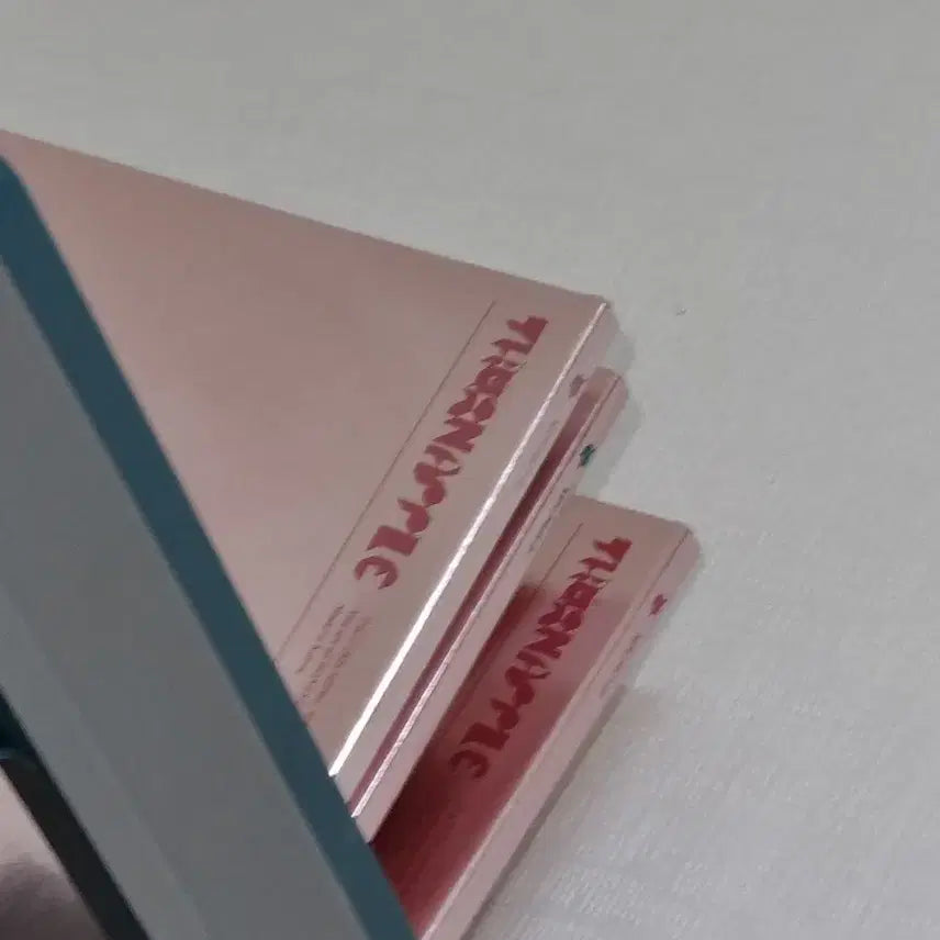 [BUNJANG] Thornapple Seoul Byeong 10th Anniversary Limited Edition LP + My Century Kit + My Century Album Set / 원가이하처분)))) 쏜애플 서울병 10주년 한정반LP+나의세기 키트+나의세기음반 세트처분