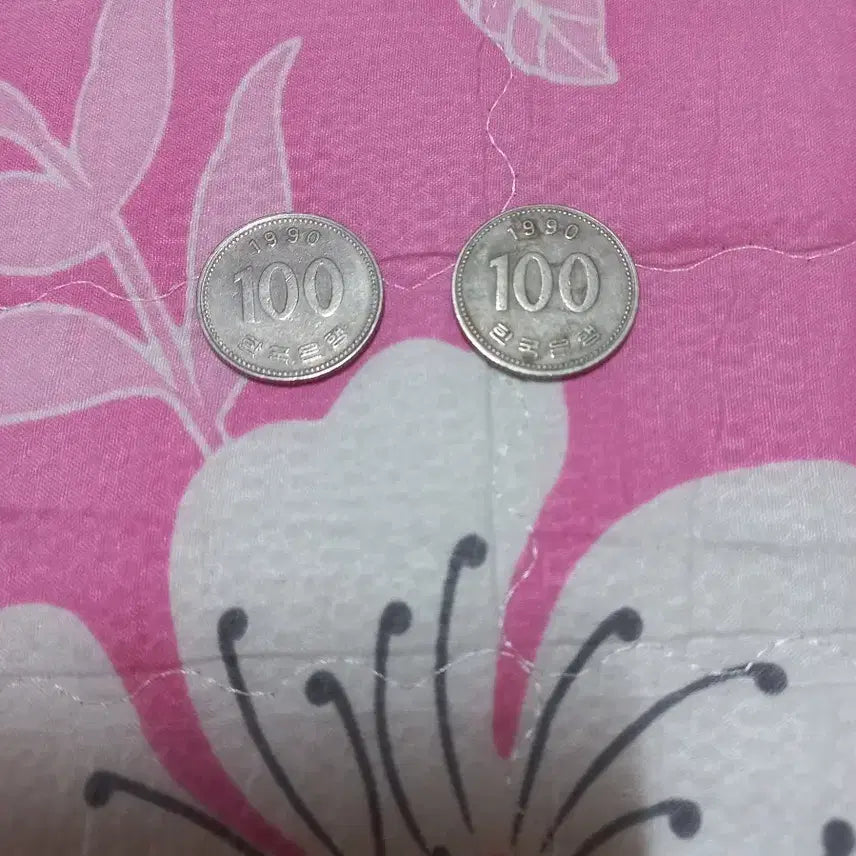 [BUNJANG] 1990 100 Won Coin (2 Pieces) / 1990년 100원 동전 2개