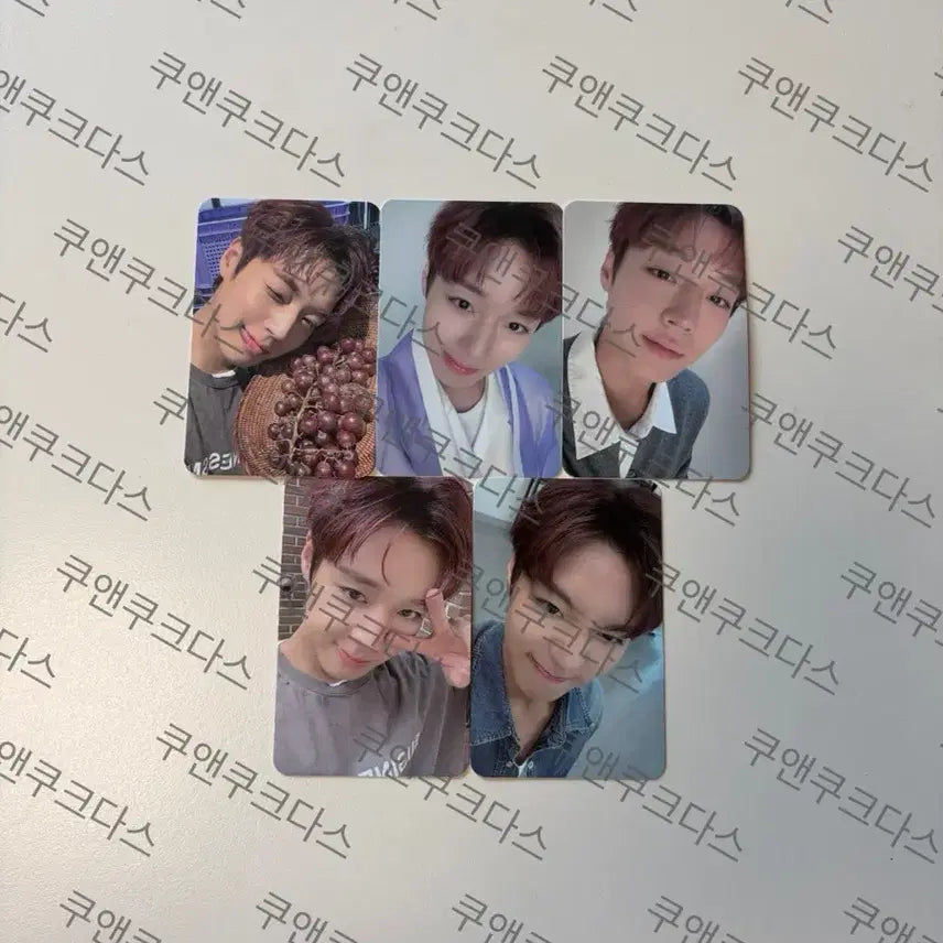 [BUNJANG] Park Jihoon The Venti Photocard Bundle Set / 박지훈 더벤티 포카 포토카드 드볼 일괄