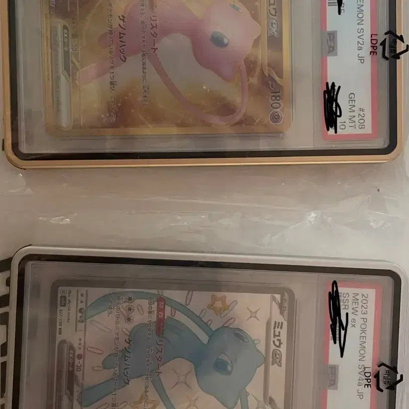 [BUNJANG] Pokemon Card Mew EX PSA 10 2 Types (Japanese Edition) / 포켓몬 카드 뮤 EX PSA10 2종 (일판)