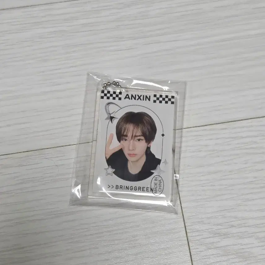 [BUNJANG] Bring Green Ahn Shin Alldrivewarm Alldi One Keyring / 알파드라이브웜 알디원 브링그린 안신 키링 양도.