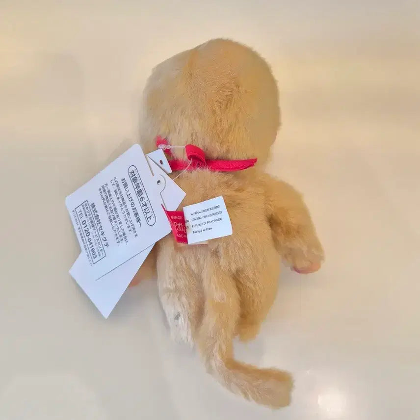 [BUNJANG] Monchhichi Gold S Boy Doll / 정품)몬치치 골드 s  남아 인형